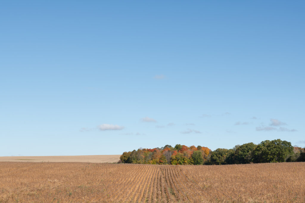 Autumn farmland near Bradford, Ontario
