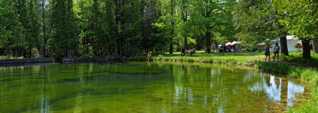 Spring-fed pond in Springwater Provincial Park, Ontario